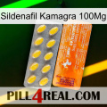 Sildenafil Kamagra 100Mg new05